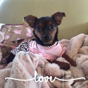 Meet your Posher, Candace